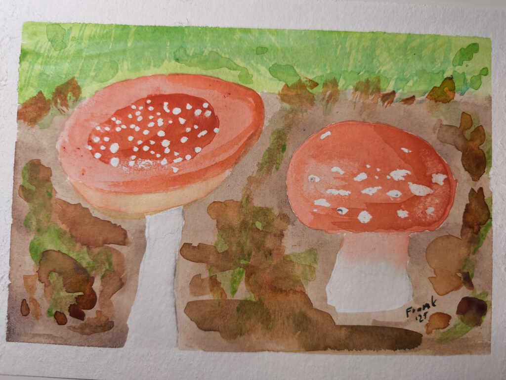 Aquarell. Zwei Fliegenpilze, einer weit geöffnet, der andere ganz rund. Auf dem Boden ist herbstliches Laub angedeutet.