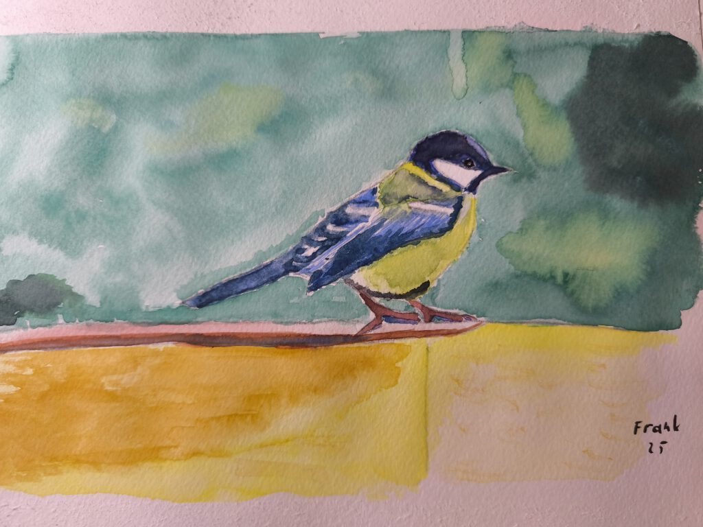 Aquarellbild einer fluffigen Kohlmeise vor einem Gebüsch.