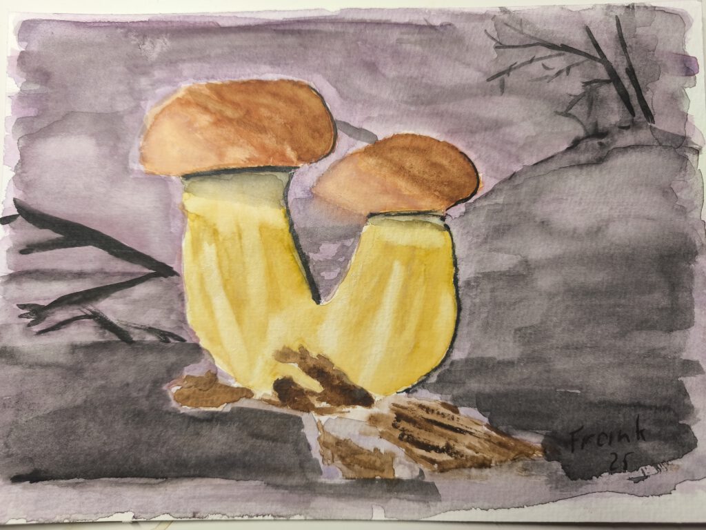 Aquarell. vor einer dunklen ins violett gehenden Kulisse stehen zwei Pilze, vermutlich Steinpilze. Drumherum ein bisschen Laub und Totholz.
