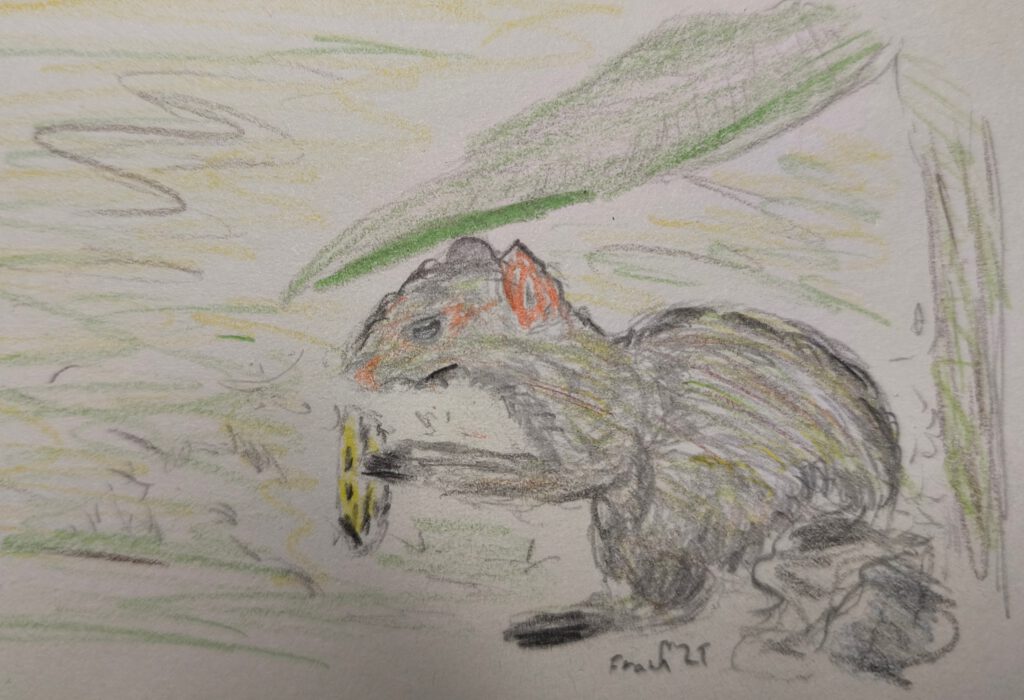 Eine Zeichnung eines grauen Tieres mit orangefarbenen Ohren, das auf dem Boden sitzt und eine gelbe Scheibe hält.