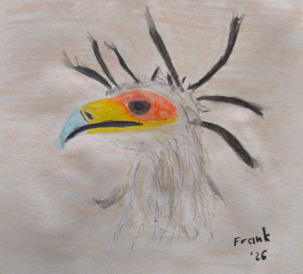 Eine bunte Zeichnung eines Vogels mit einem markanten, bunten Schnabel und auffälligen Federn. Die Farben umfassen Blau, Gelb und Rot, vor einem sanften, einfarbigen Hintergrund.