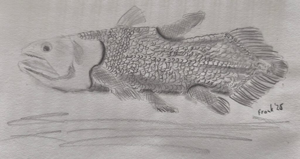 Skizze eines prähistorischen Fisches mit detaillierten Schuppen und Flossen.