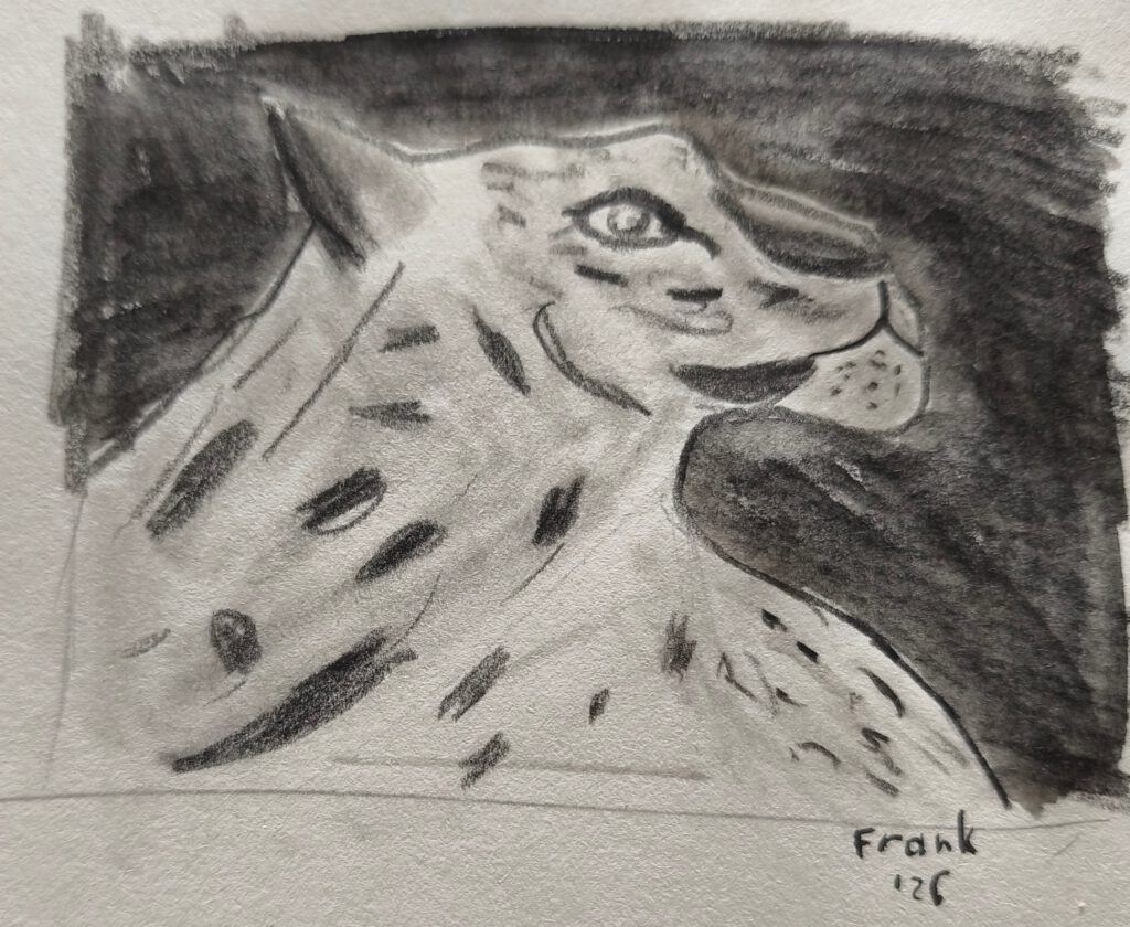 Skizze eines Leopardenkopfes mit schwarzen und grauen Schattierungen auf hellem Papier.