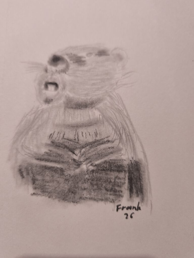 Ein grau-schattiertes Porträt eines Tieres, das neugierig oder erstaunt schaut, gezeichnet in einem skizzenhaften Stil.