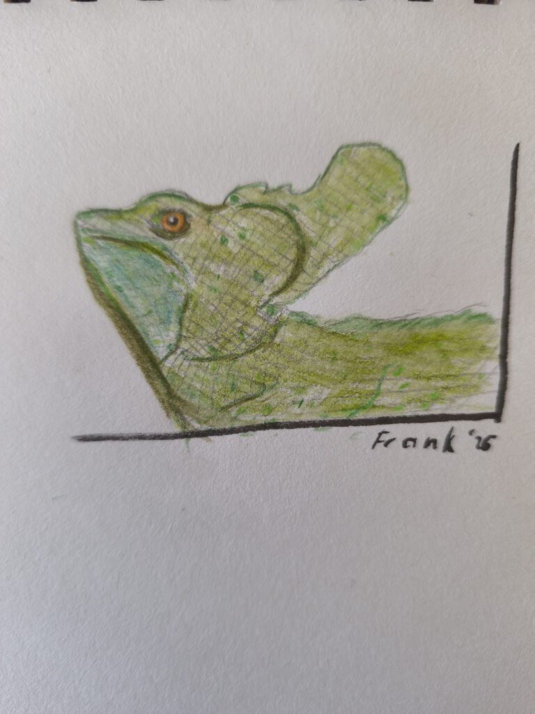 Eine farbige Zeichnung eines Echsenkopfes mit ausgeprägten Augen und einer detaillierten Hautstruktur.