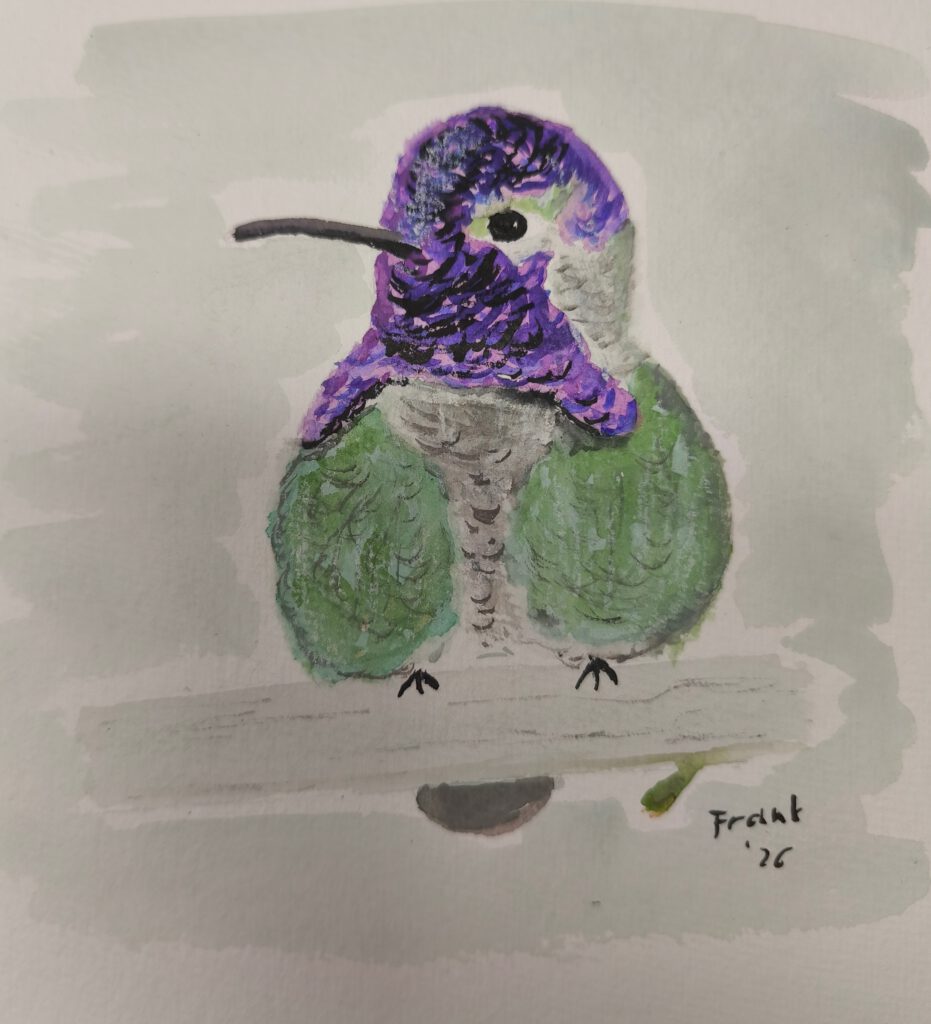 Aquarellmalerei eines Kolibris mit lila und grünen Federn.