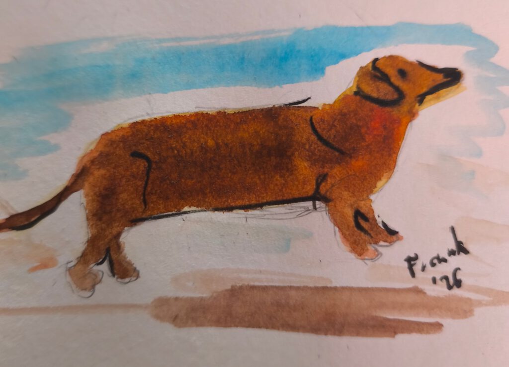 Aquarellzeichnung eines braunen Hundes, der am Strand läuft.